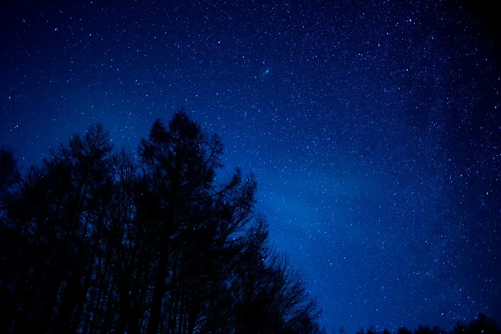 32070595281 ffa61a2db8 b