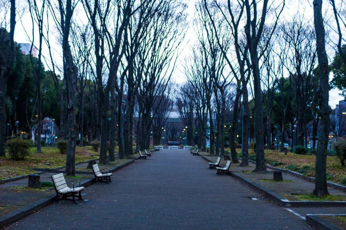 32434933042 886c761ae2 o