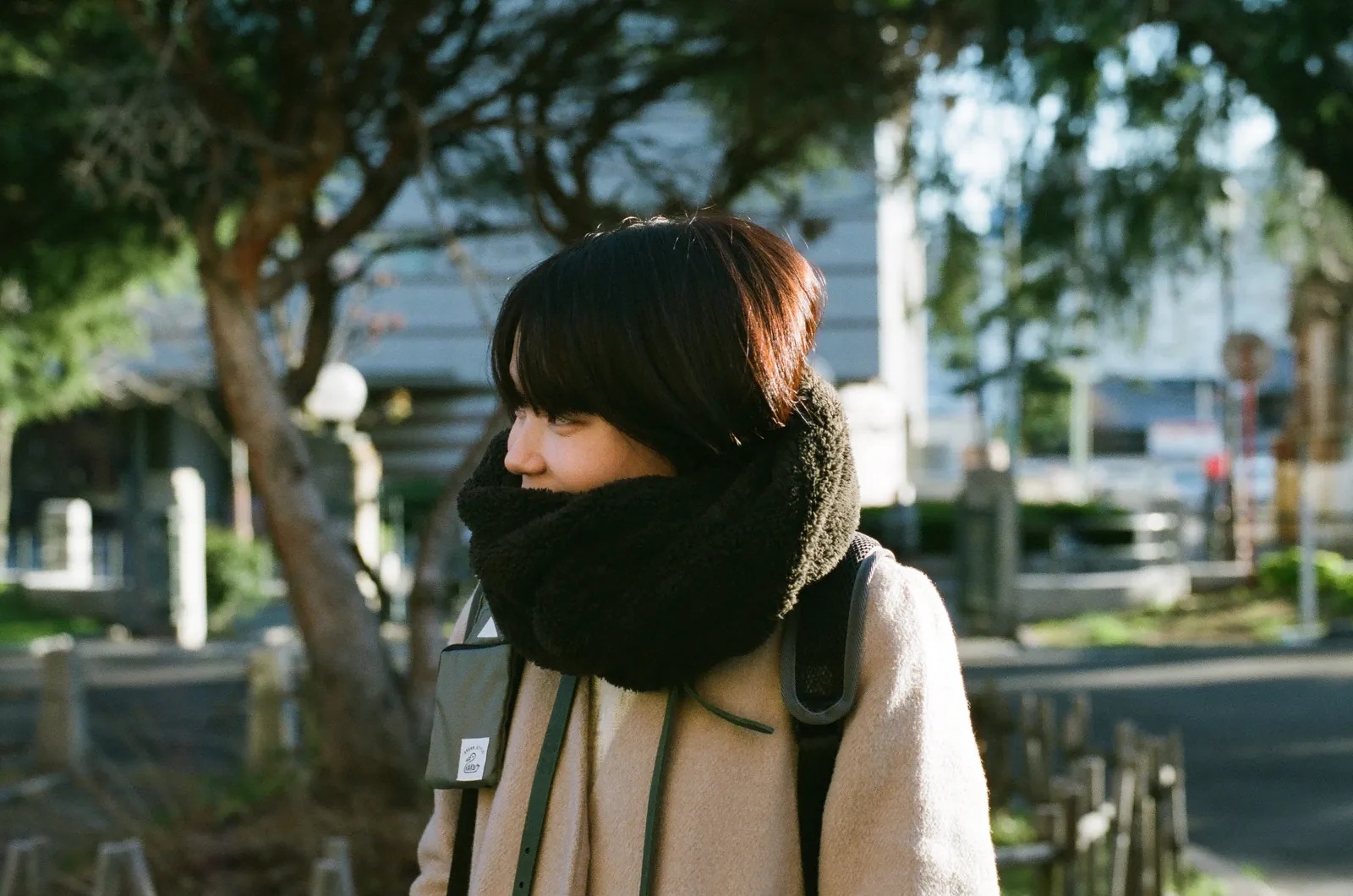 CONTAX 139Qと冬の日の写真