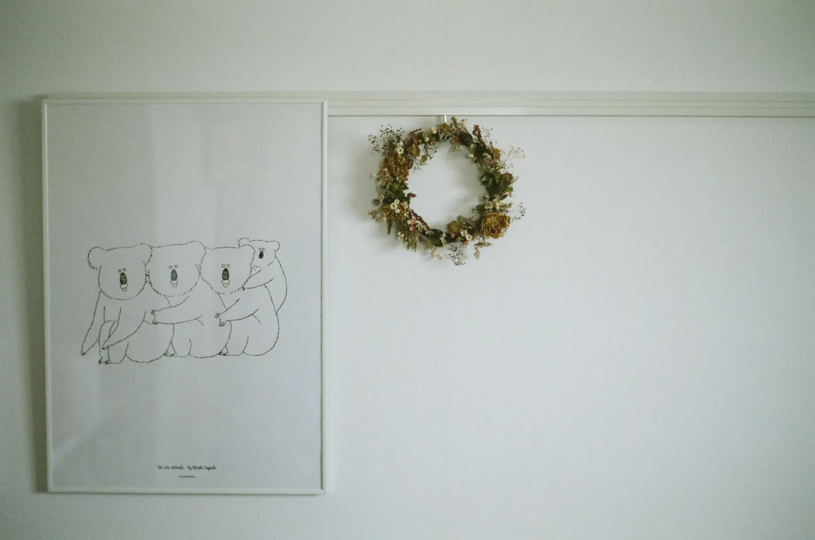 CONTAX 139Qと冬の日の写真