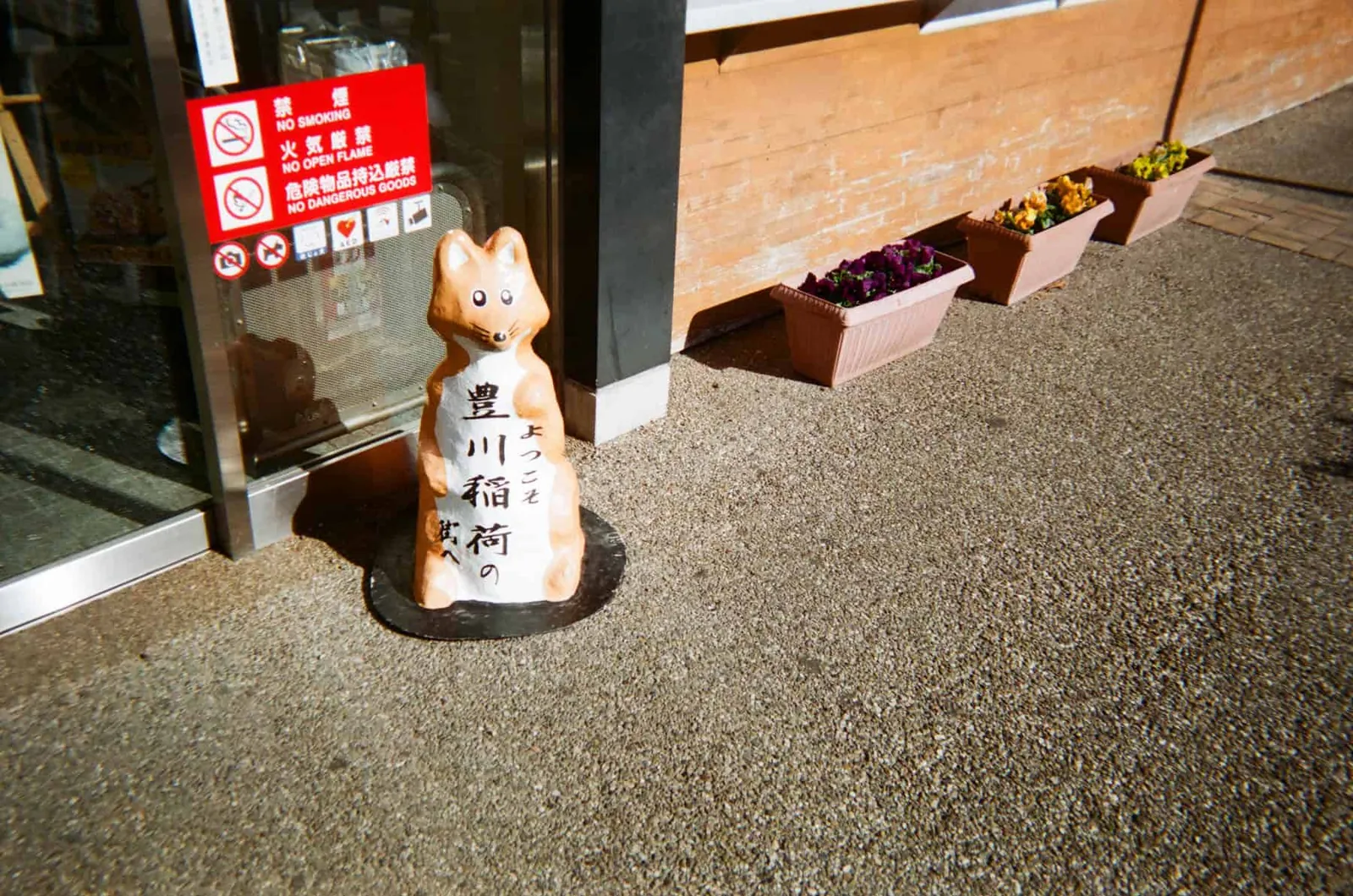 2020年、年明けの「写ルンです」の写真たち