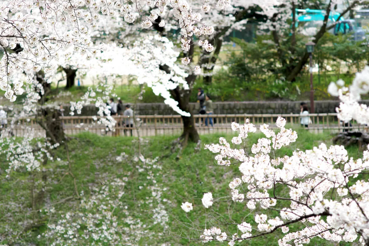 33570747980 5dac8a3bbb o