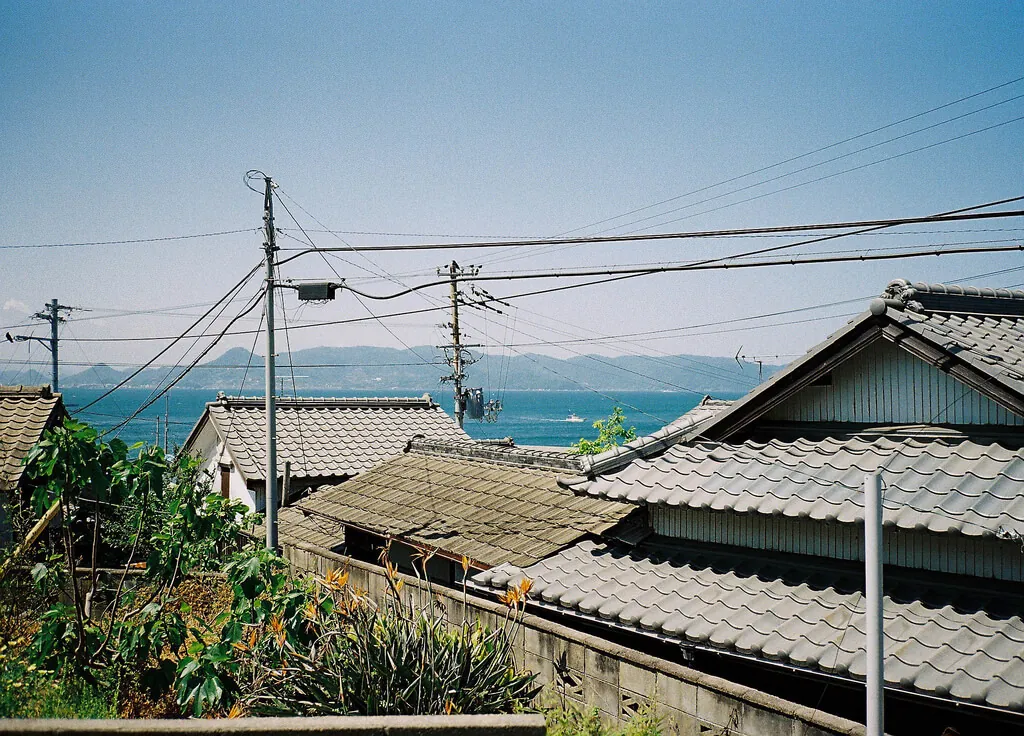 34189920670 113700d99f b