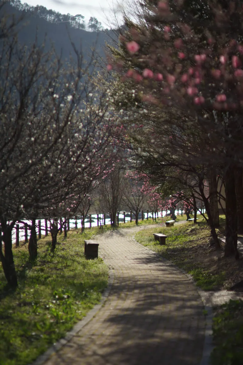 34202981686 2662d3c524 o