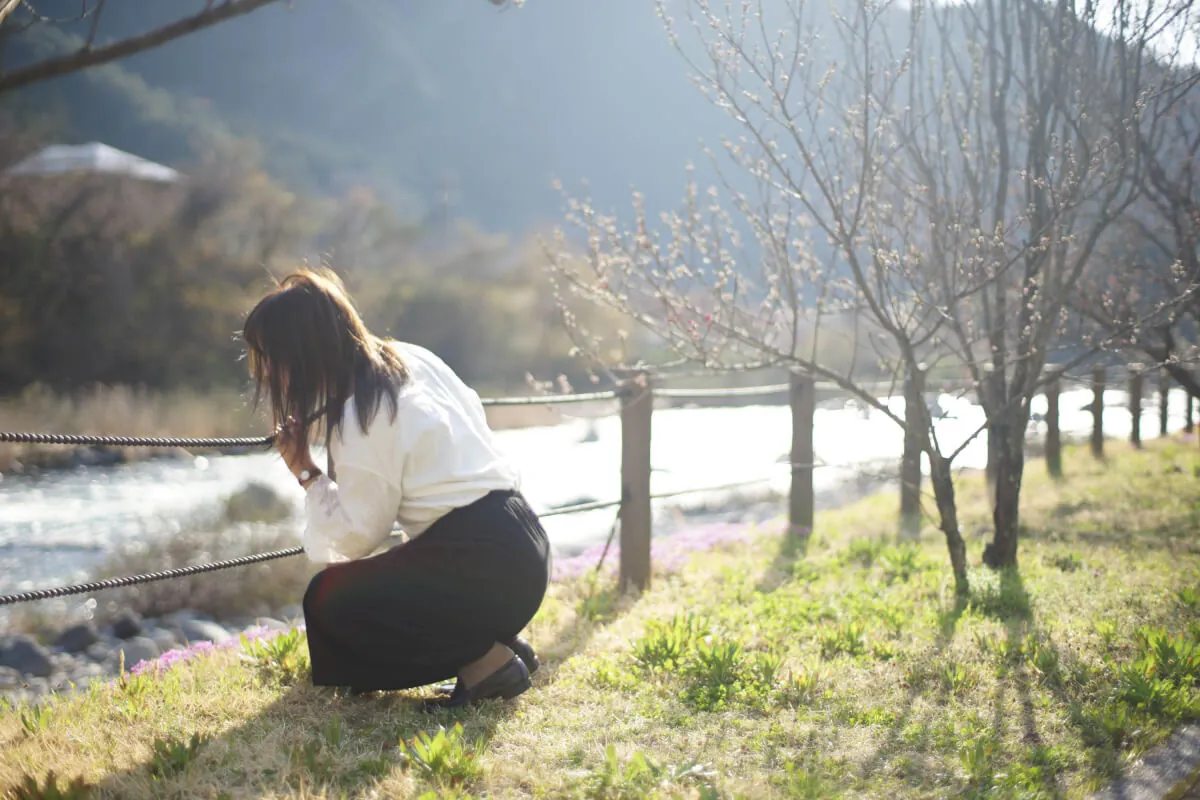 34202981986 3316a80501 o