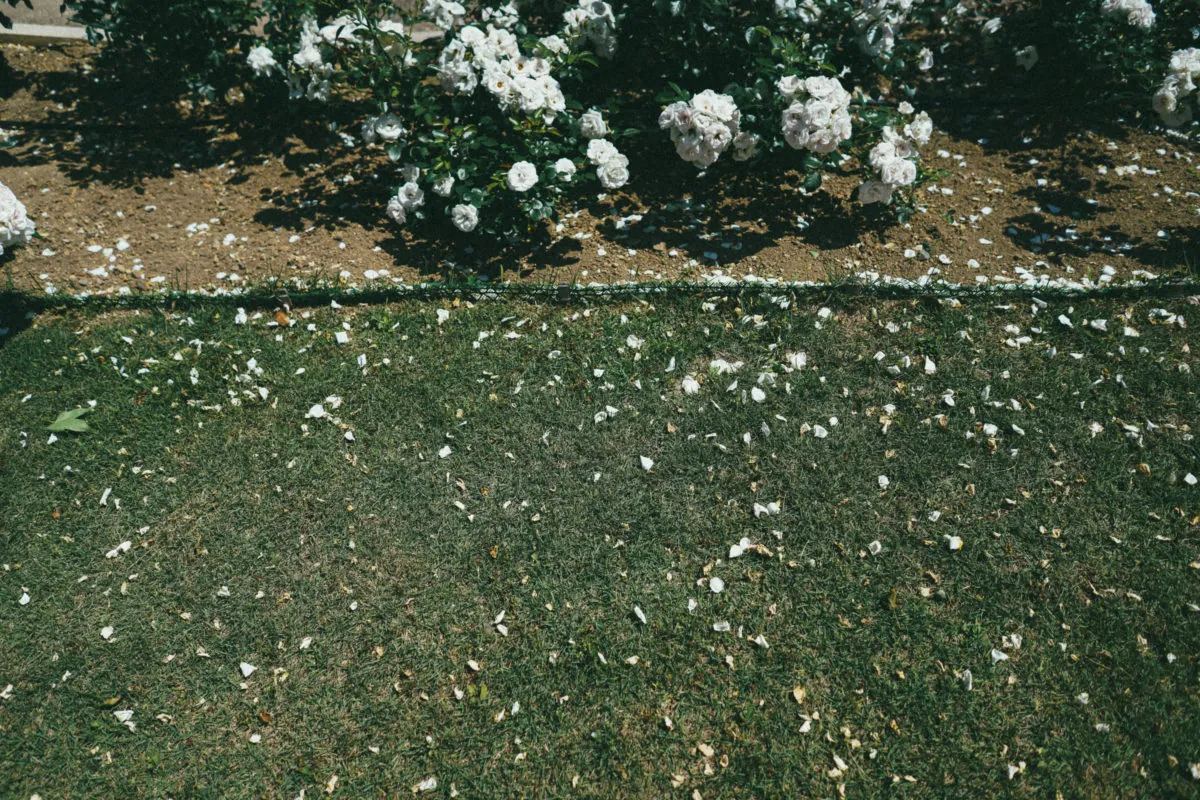 34281487943 87c84c4cc4 o