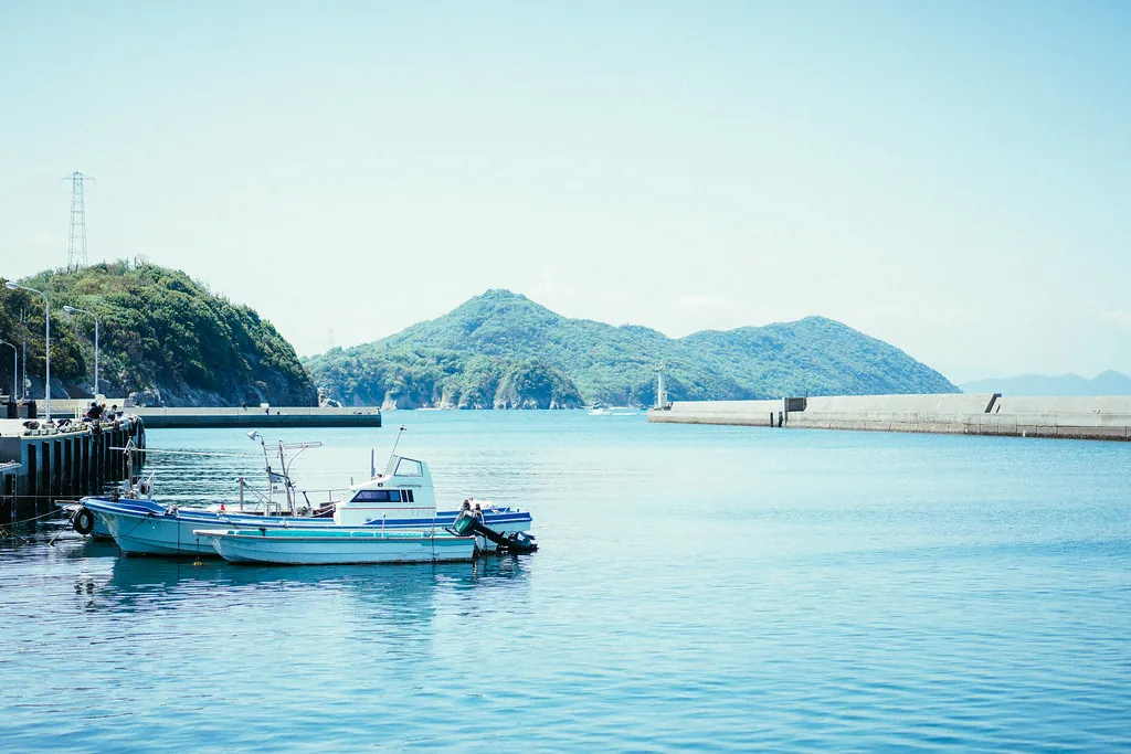 34318796192 1bd68d5f63 b 1