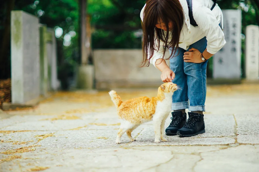 34318798102 fbb86c9fbd b