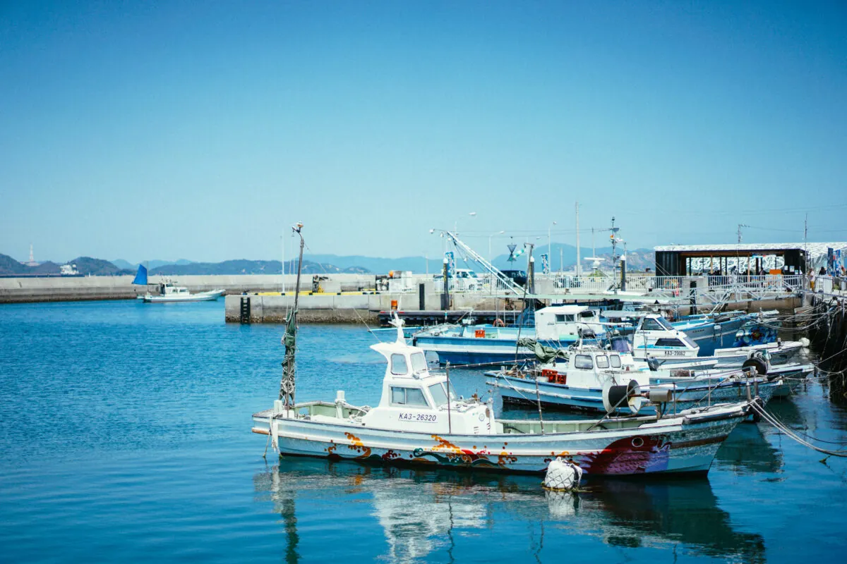 34437490526 cdfaa653af o