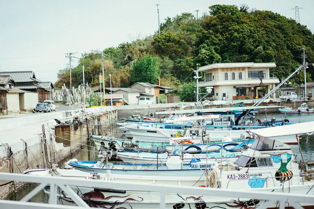 34437492286 487e29c1b0 b