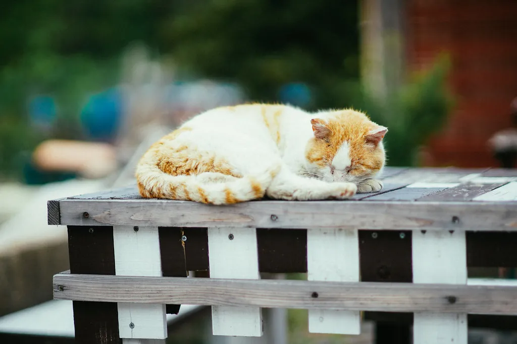 34437492666 b7da12e56b b