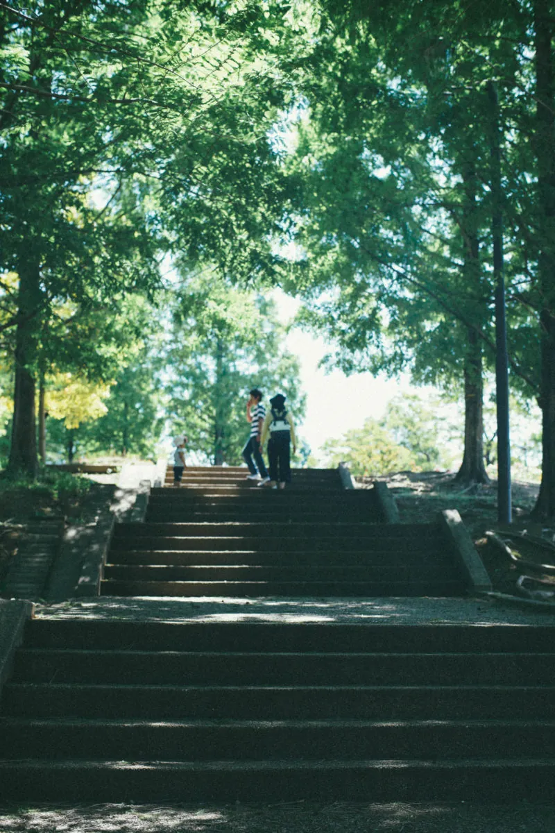 34704738740 b741cca90e o