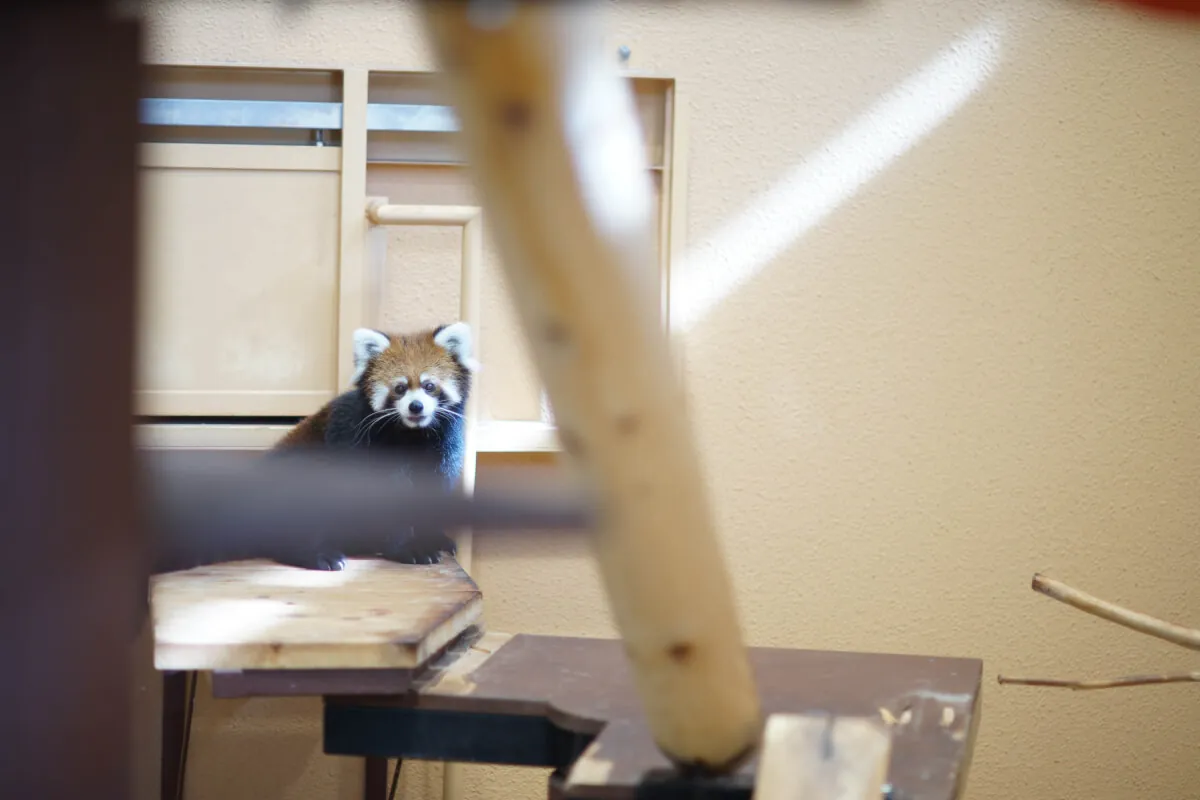 35192726653 729b7f9626 o