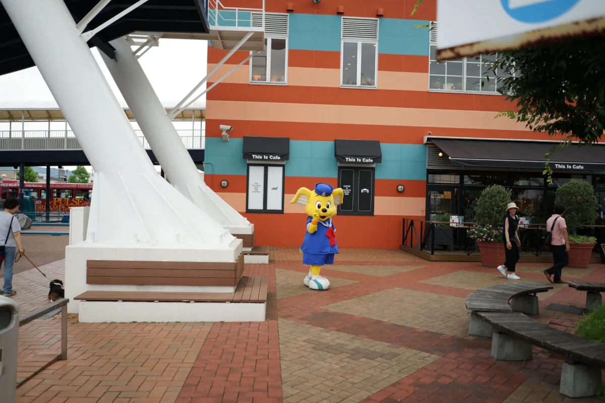 36003499185 76d5a16ee3 o