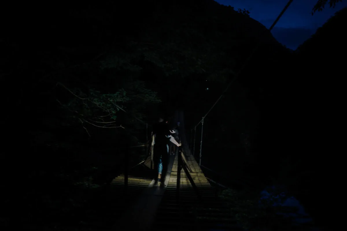 36003534275 a69e3cc6f5 o