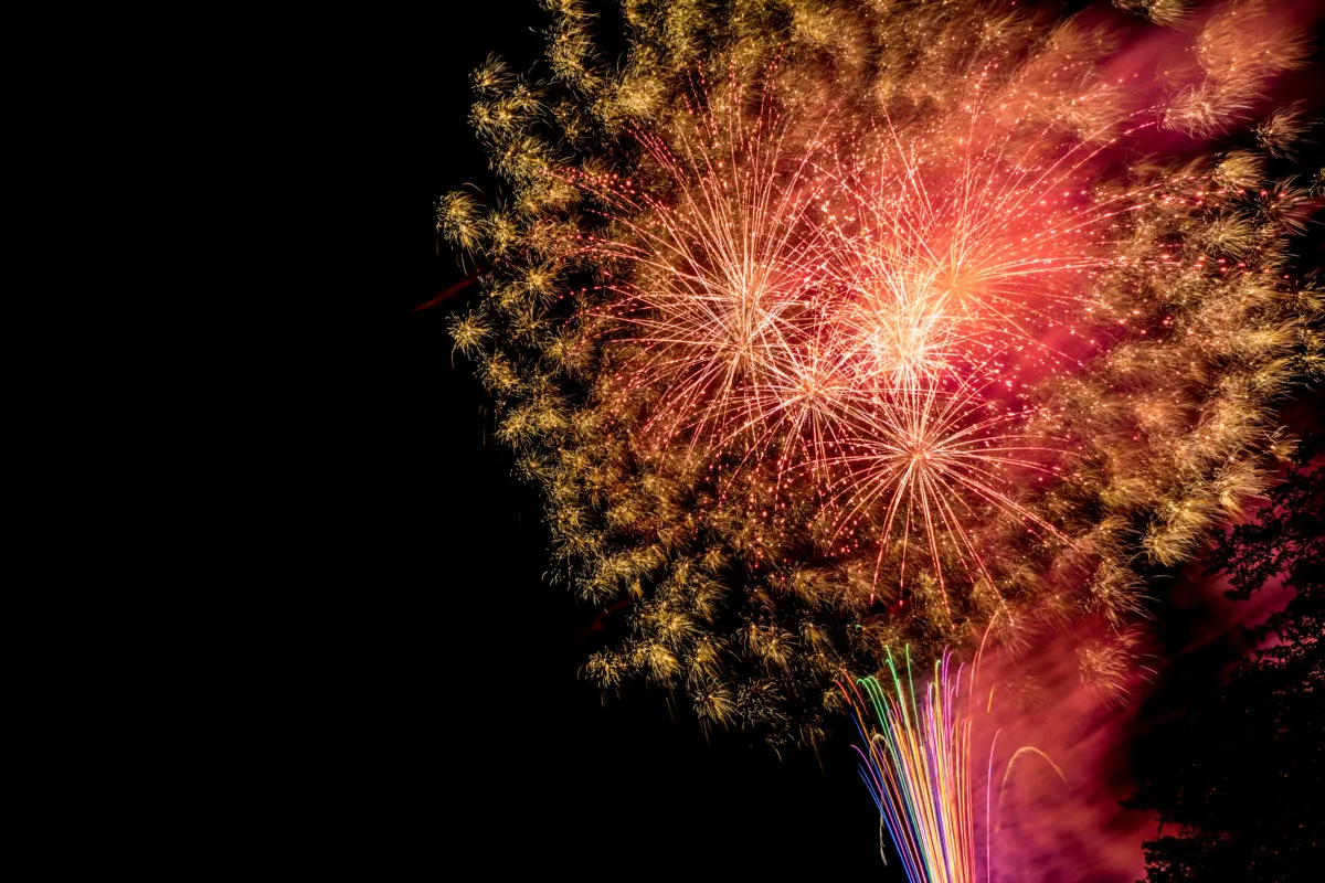 36546549045 1cce2db885 o