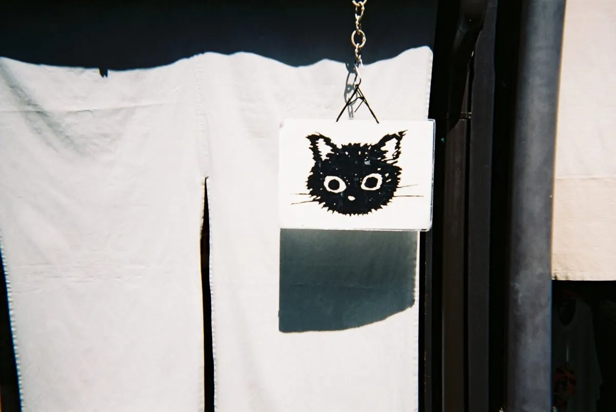 36668708860 a0742fd361 o