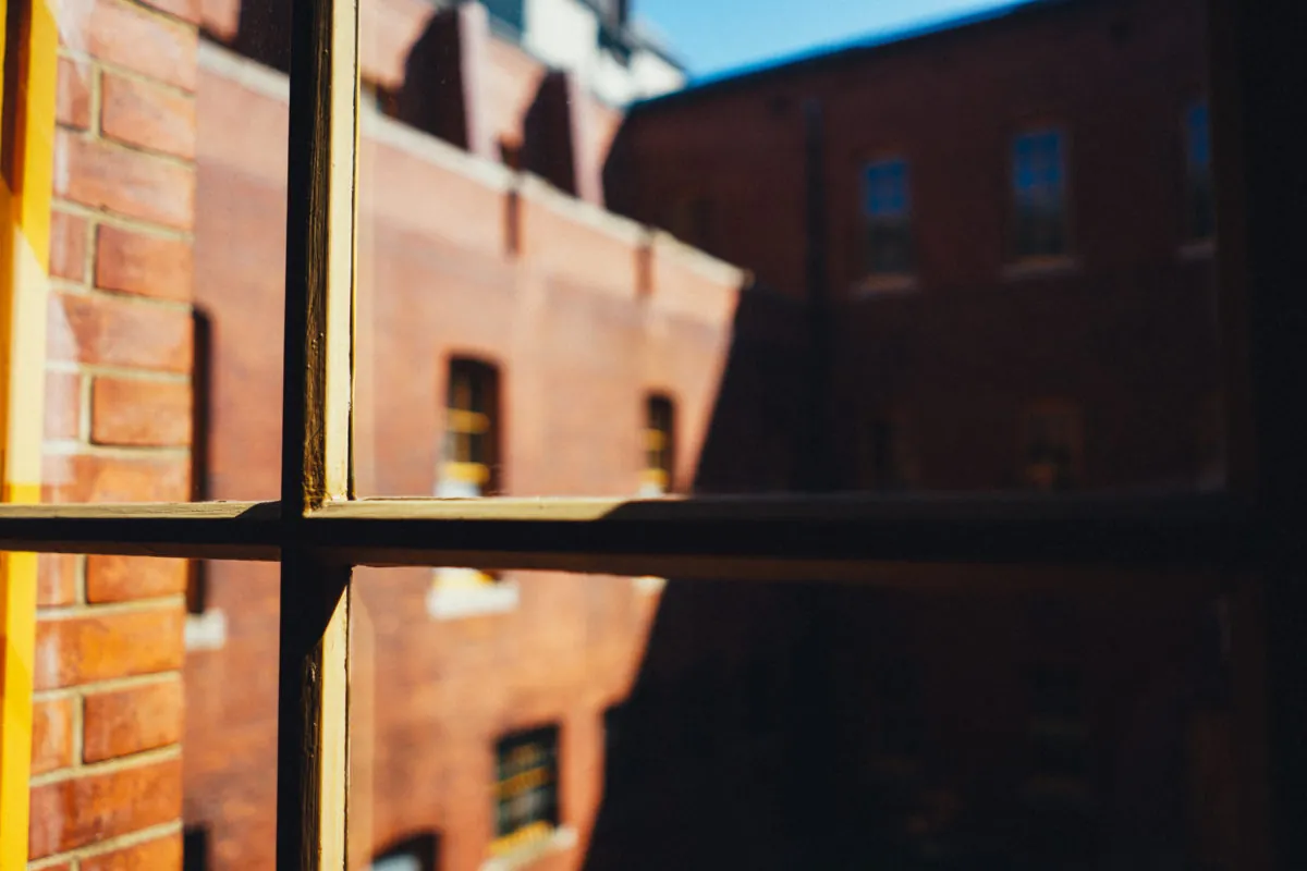 37240577716 d6c88992f4 o