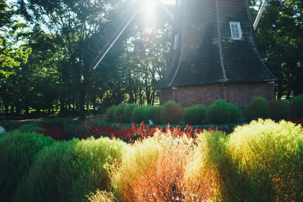 37303174956 e22124f5a9 o