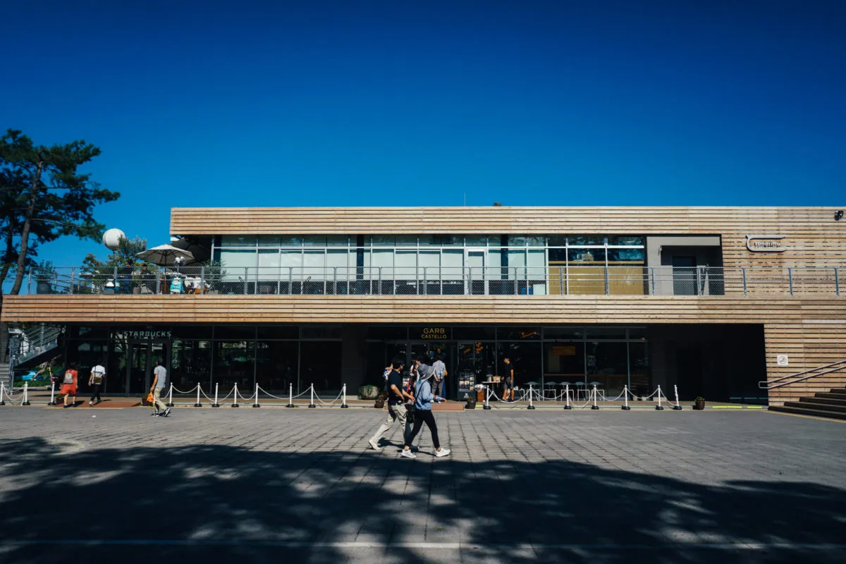 37320541592 9608cc8bce o