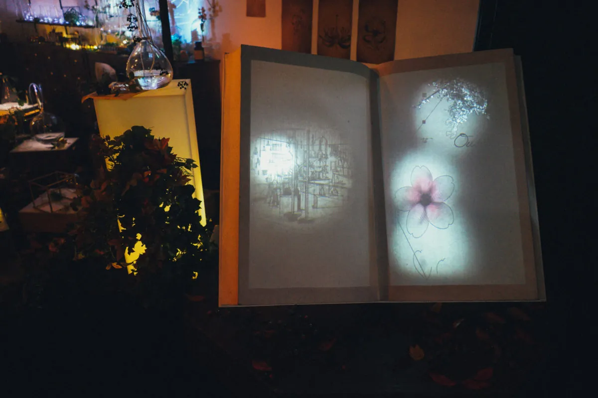 37545896576 806ddcaf5d o