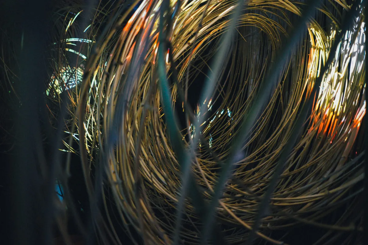 37545899046 ba2db3f2f6 o