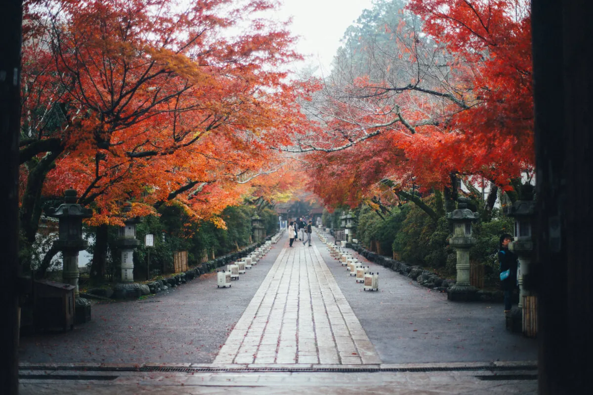 37881067124 045d01c0ce o