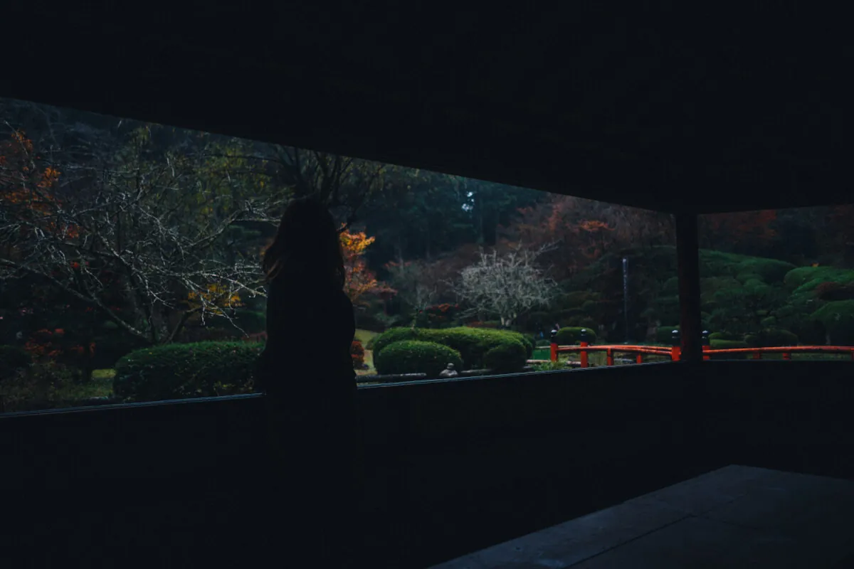 37881067704 8ba606fd2e o