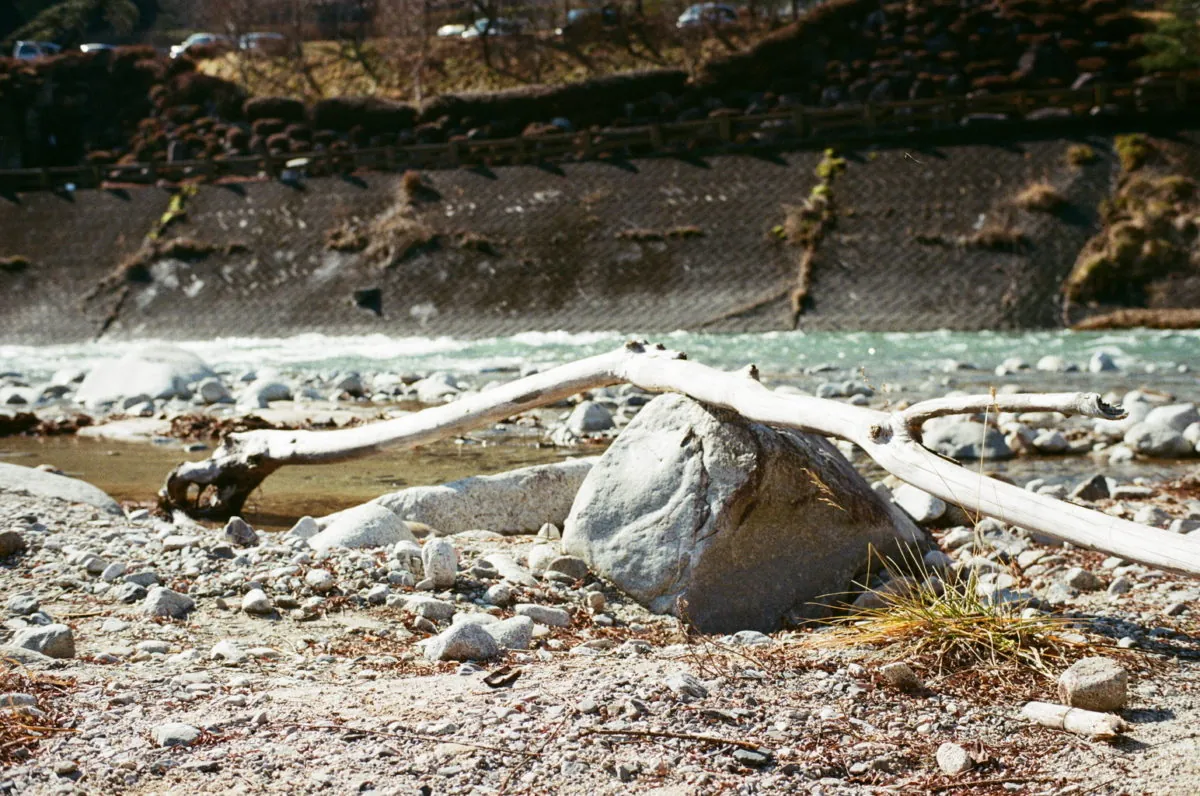 38302897362 abbfa09678 o