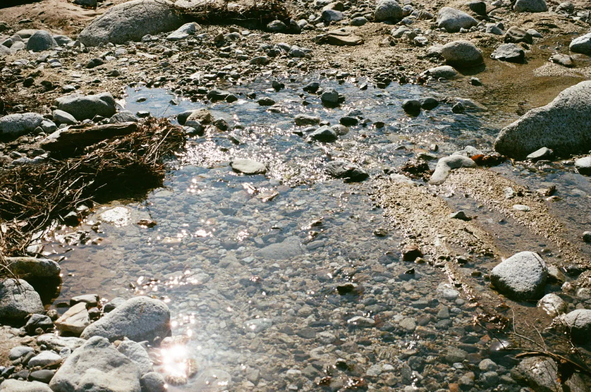 38302901322 107147be17 o