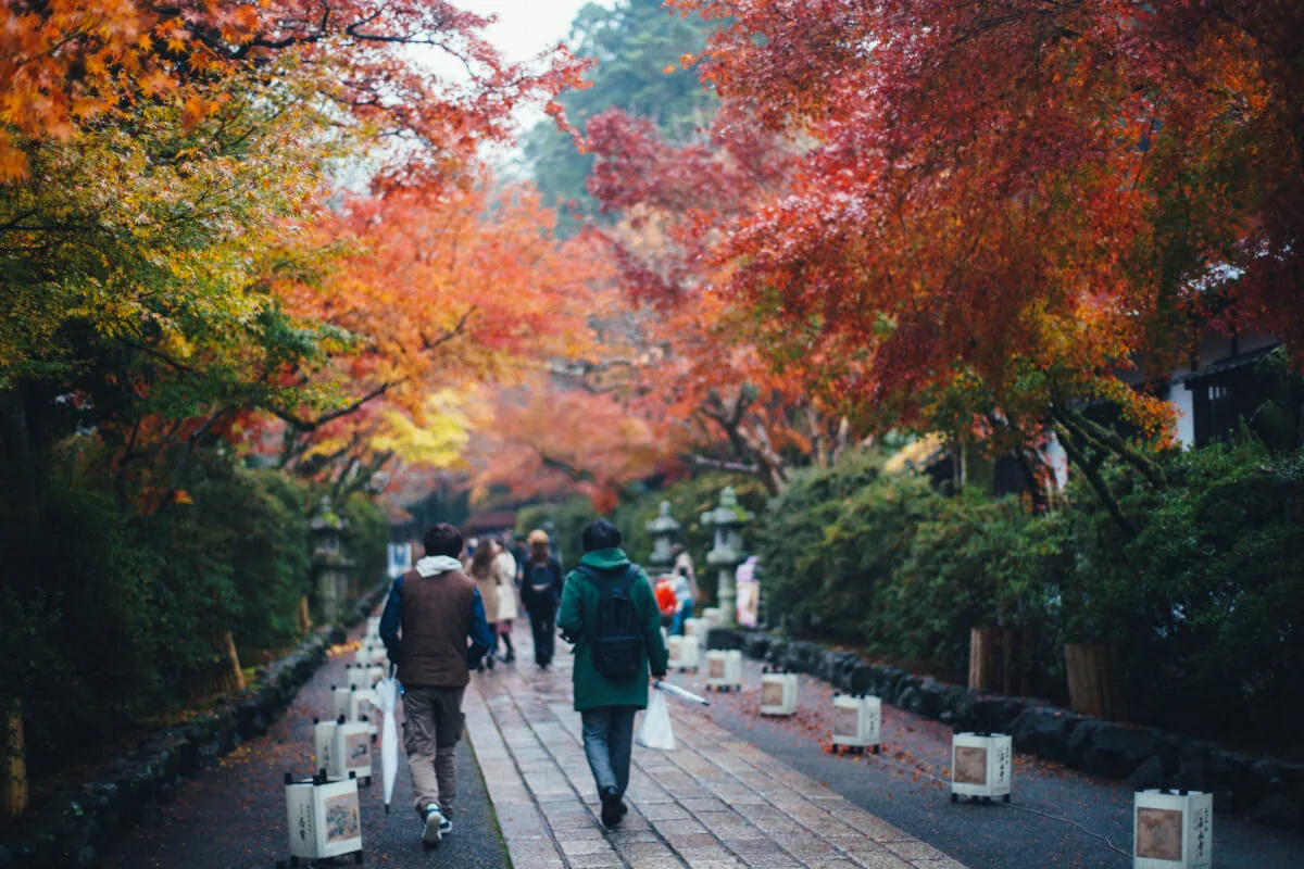 38541076026 8eb39ea614 o