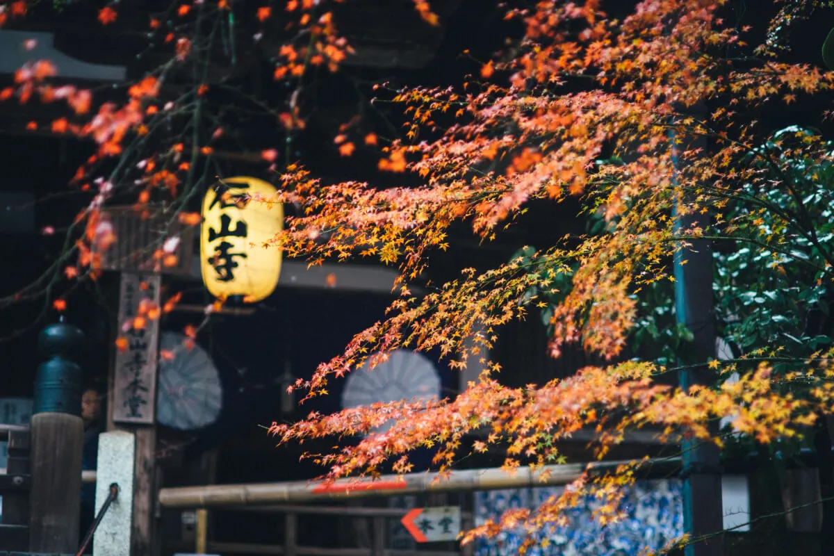 38565462602 b0a1156b78 o