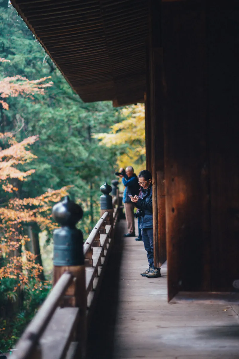 38598353621 5dc00421c1 o