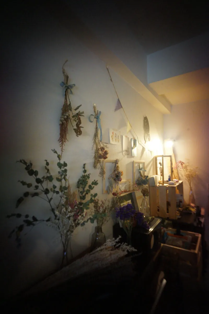 38640548230 9926ceae62 o