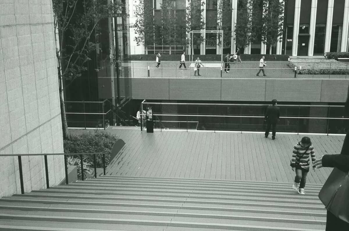 38676475045 f5509c6465 o