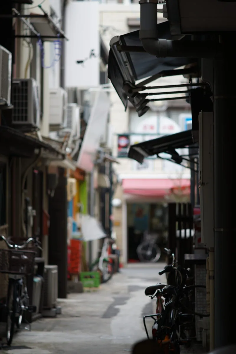 38783275630 932acd908b o