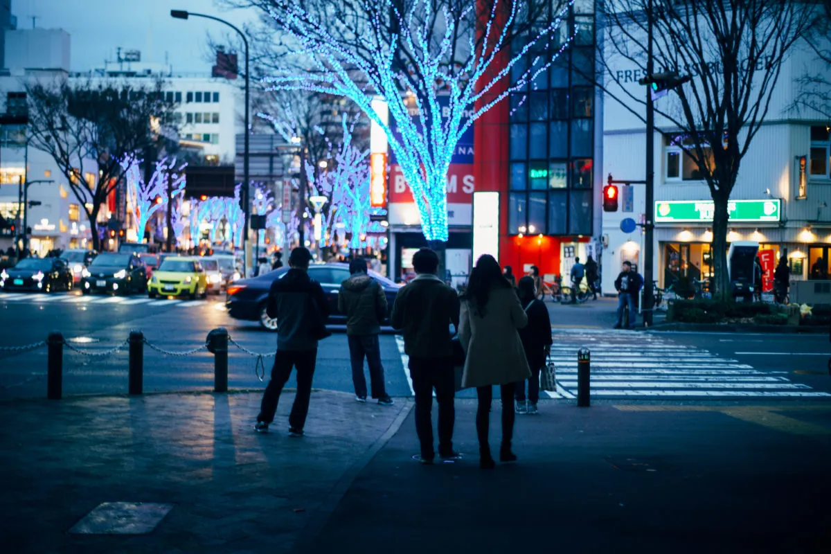 39263183581 203762eaee o