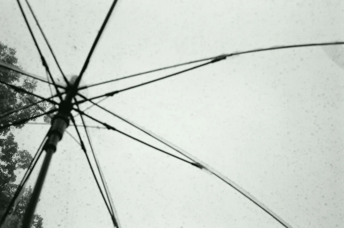 39543060192 05b0b0bd27 o