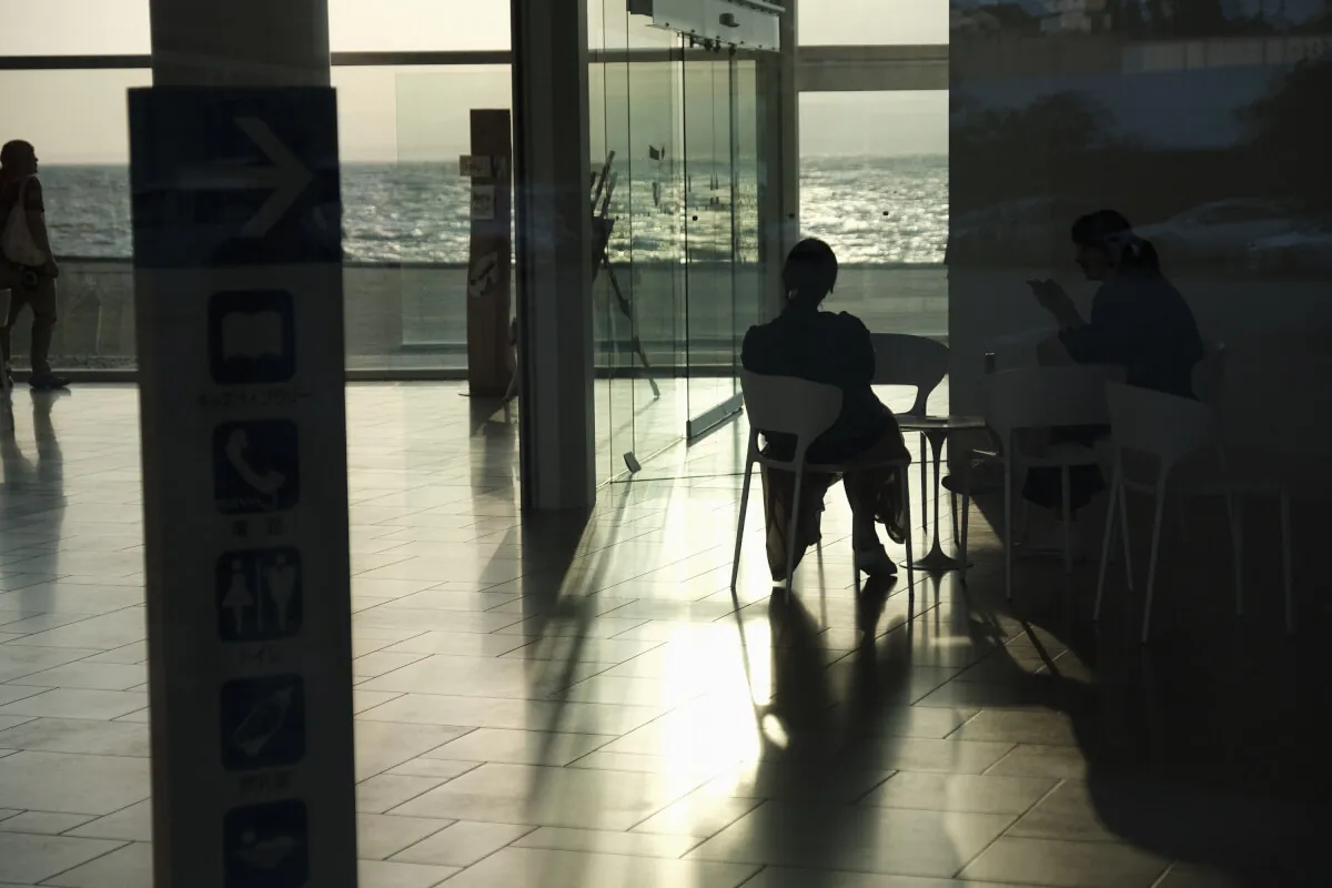 40120990480 4648c9f8cd o