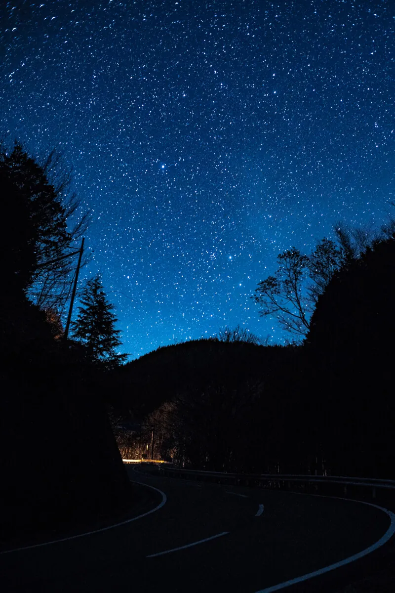 40665762515 b274595030 o 1