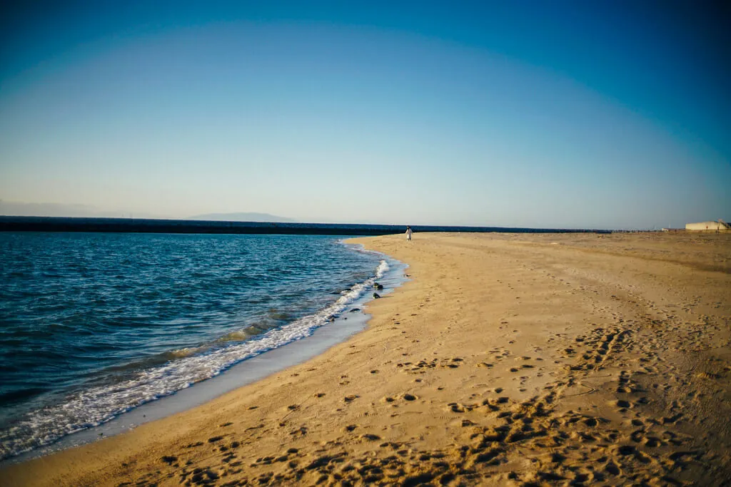 40700102352 4437478390 b