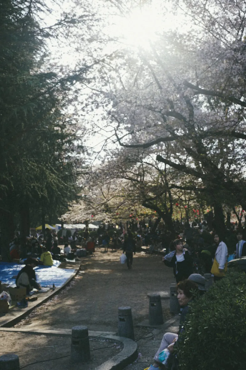 41147394391 c72ba661ff o