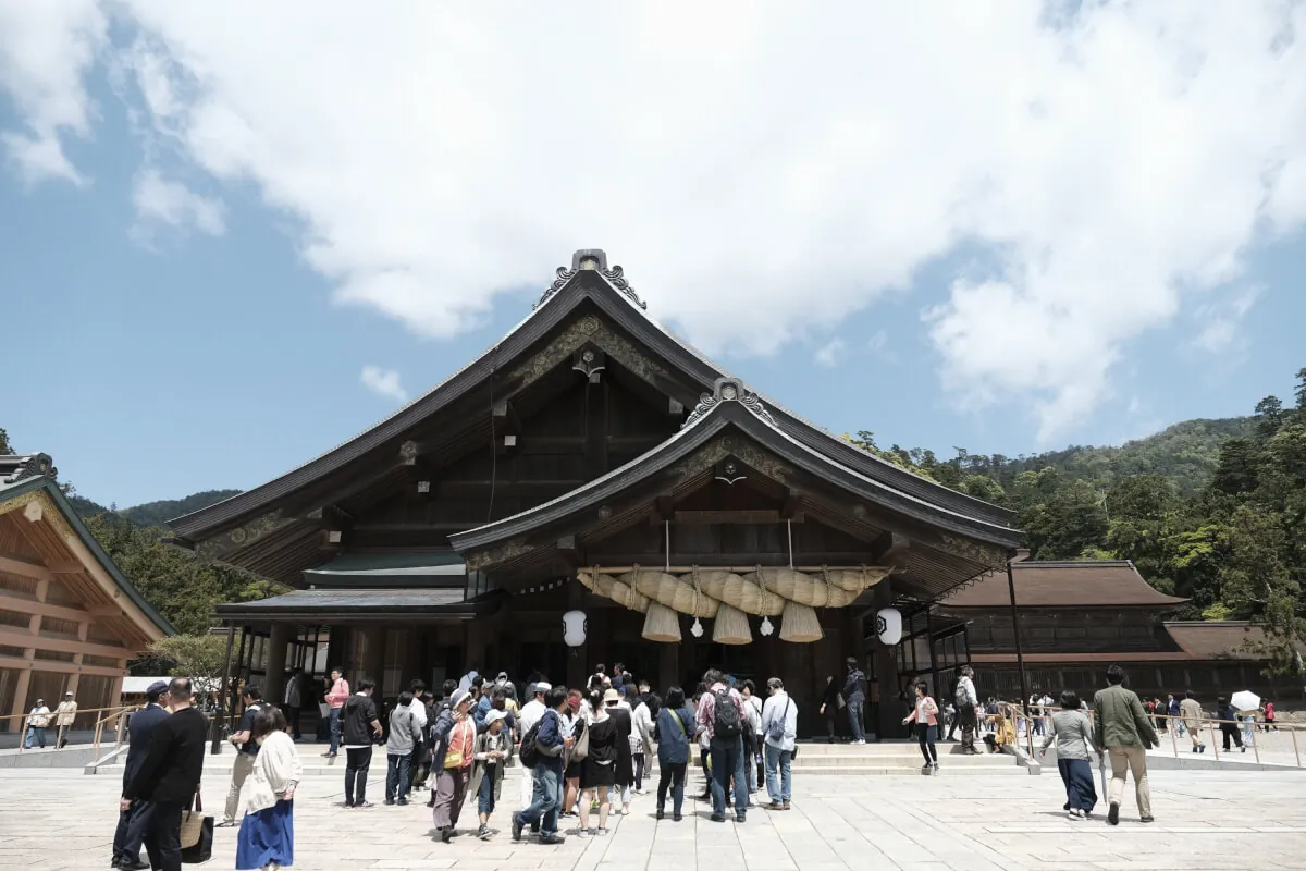 41859925002 1eefa92c5e o