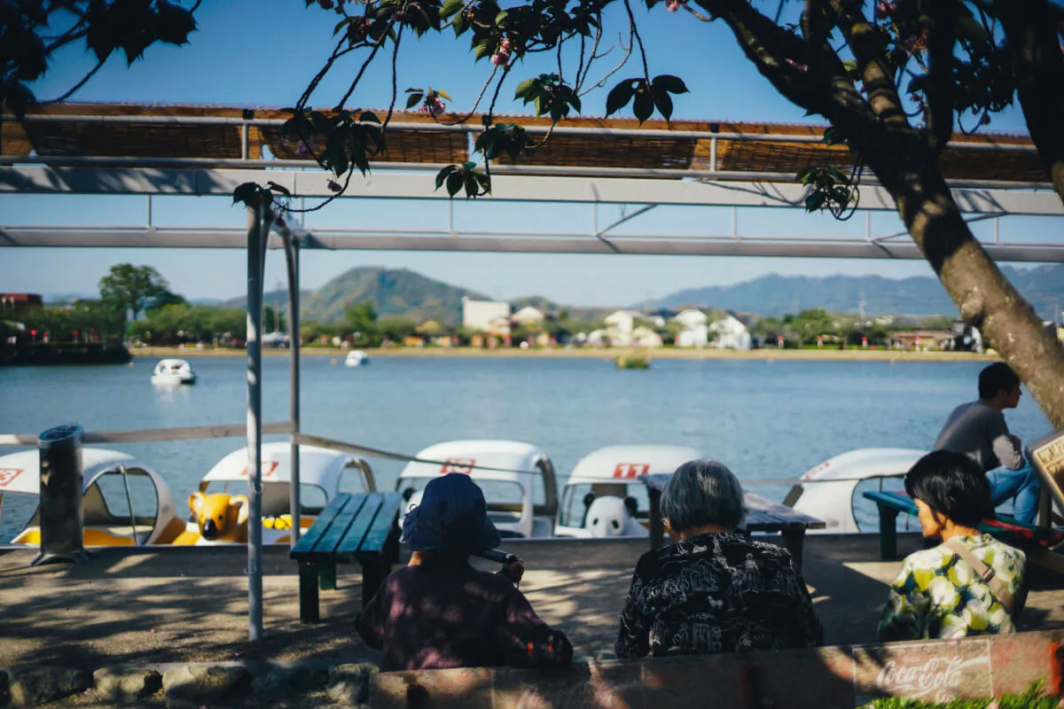 41997124101 928db32d11 o