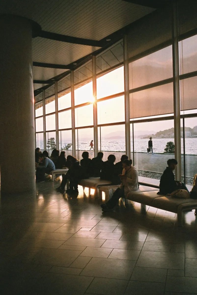 42147365801 620e0c43cc o