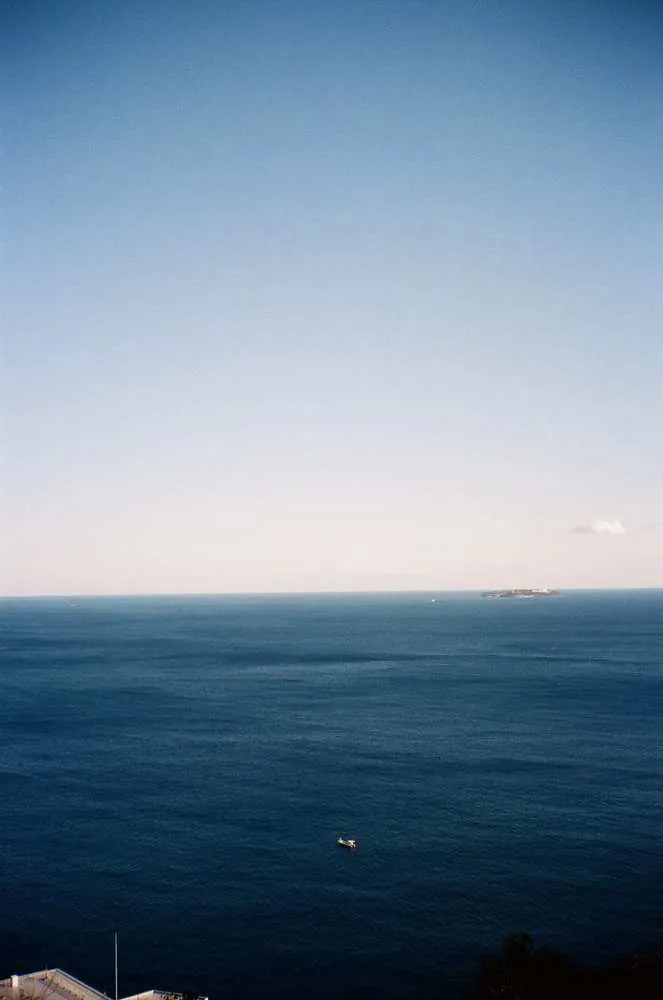 フィルムカメラのワンテンポ遅れてくる感じがたまらない