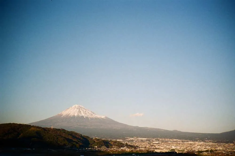 フィルムカメラのワンテンポ遅れてくる感じがたまらない