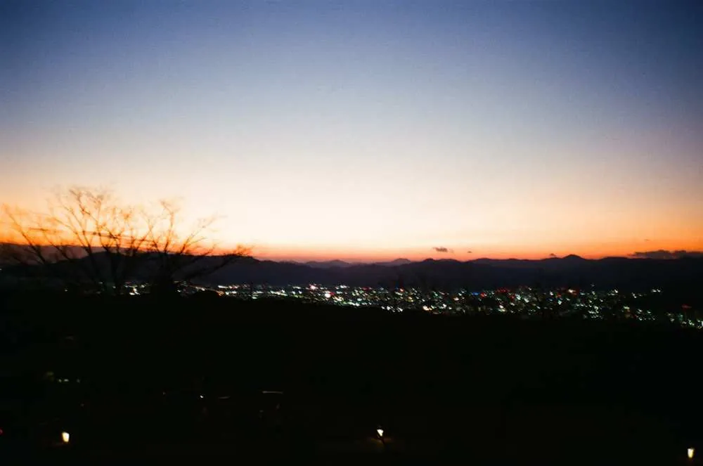 フィルムカメラのワンテンポ遅れてくる感じがたまらない