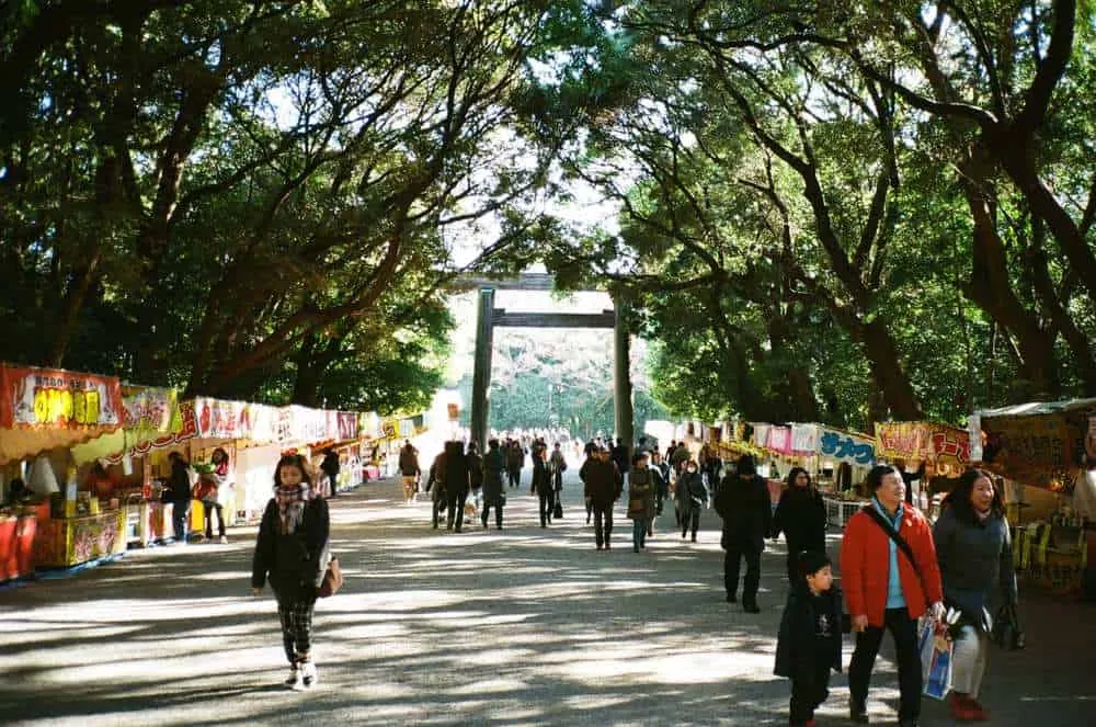 フィルムカメラのワンテンポ遅れてくる感じがたまらない