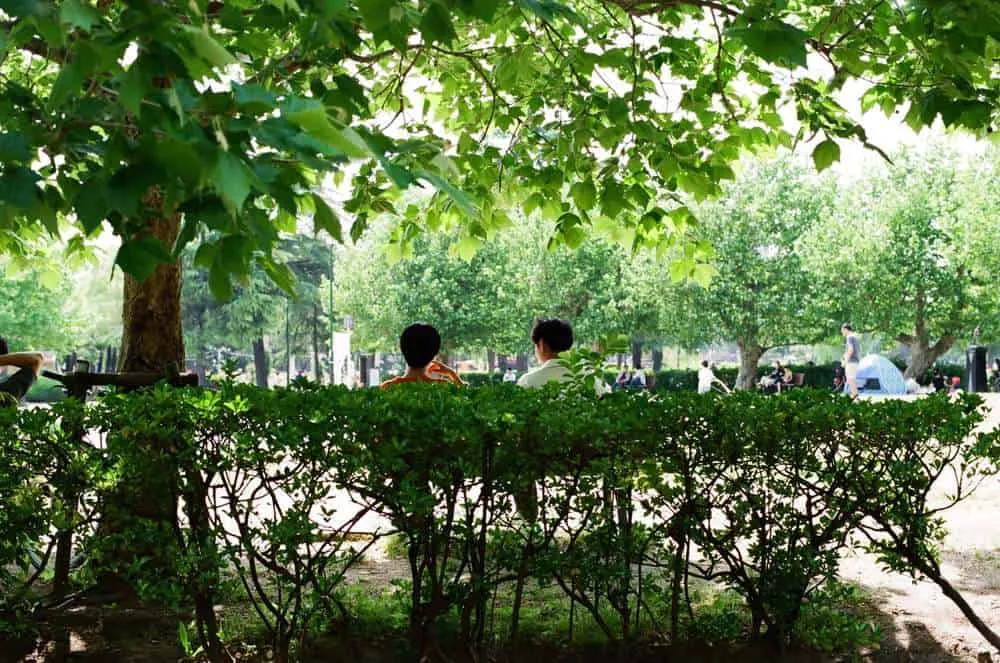 【作例】CONTAX 139 QUARTZとPlanar T* 50mm F1.4で大須観音と鶴舞公園へ